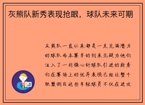 灰熊队新秀表现抢眼，球队未来可期
