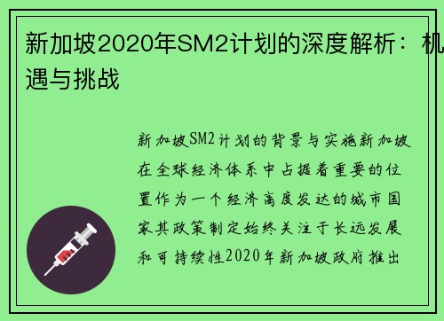 新加坡2020年SM2计划的深度解析：机遇与挑战