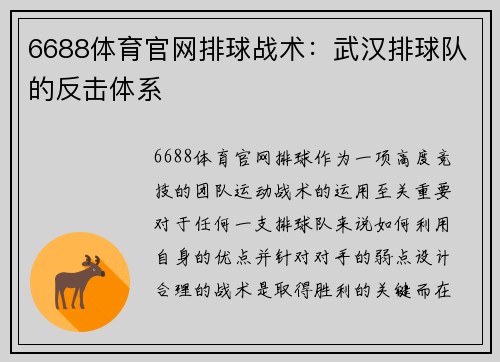 6688体育官网排球战术：武汉排球队的反击体系